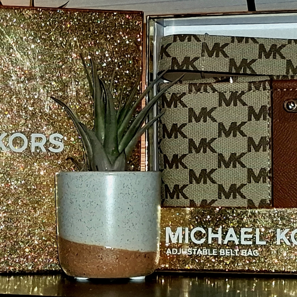 Michael Kors Adjustable Belt Bag in Gold and Brown
